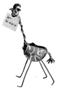 beesten-giraffe